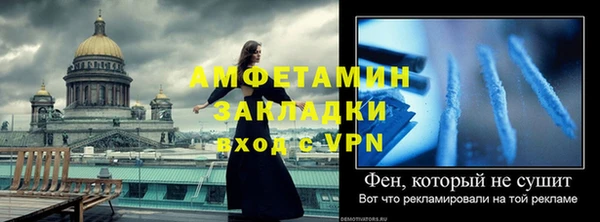 метадон Богданович