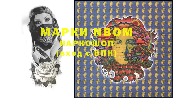 метадон Богданович