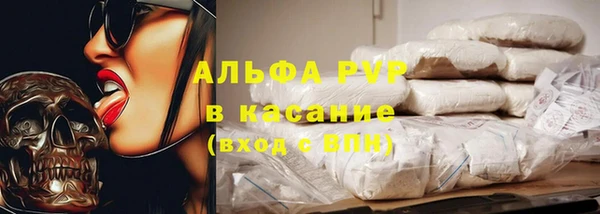 метадон Богданович