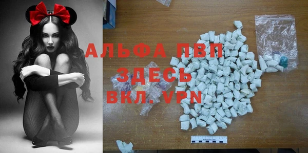 метадон Богданович