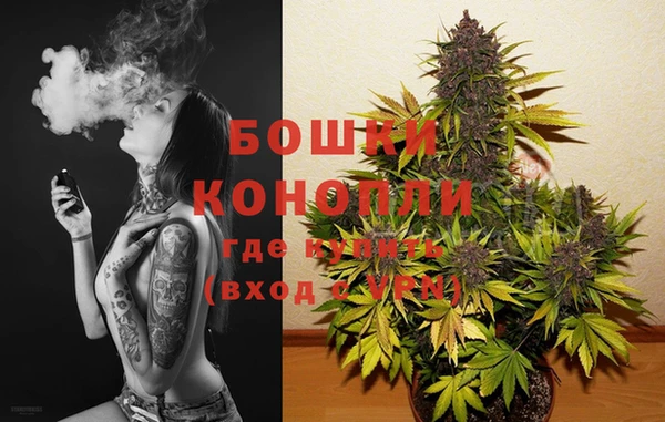 метадон Богданович