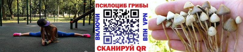 Купить закладки  Валуйки  Псилоцибиновые грибы Psilocybine cubensis 